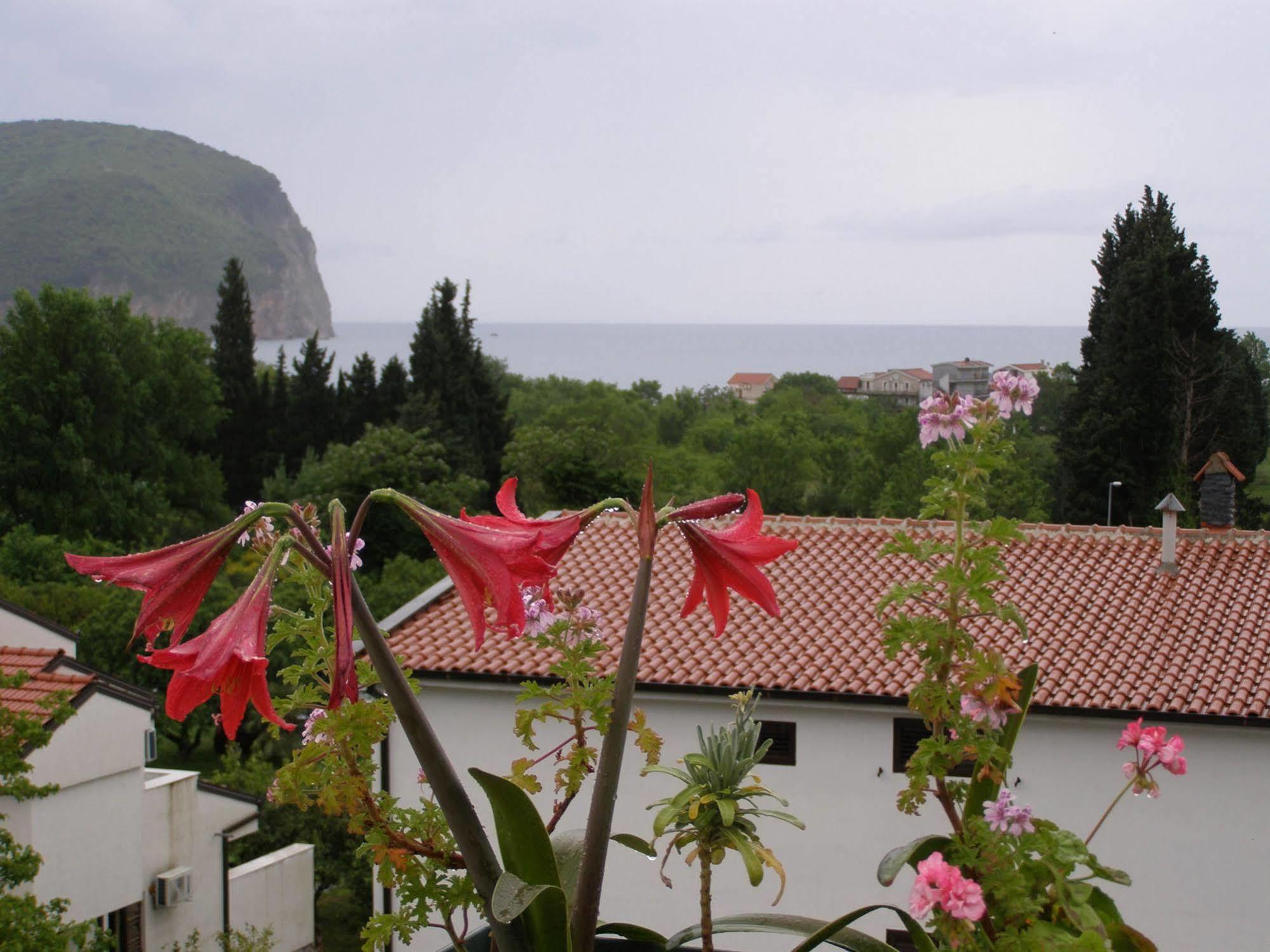 Petrovac Hotel Wellness & Spa Angelo Gabriel מראה חיצוני תמונה